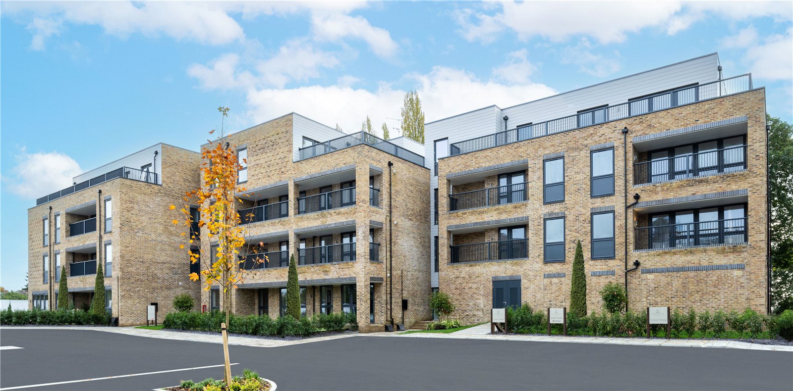 Image for development in 